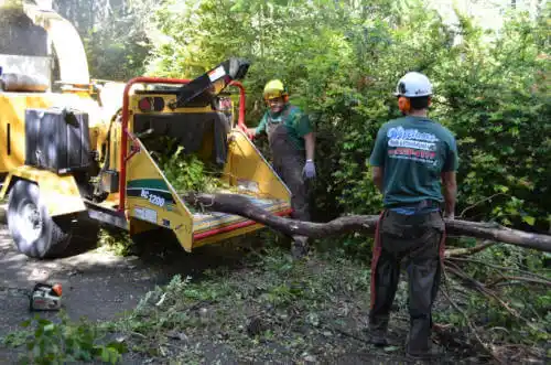 tree services New Boston